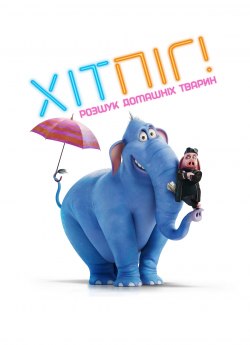 ХітПіг. Розшук домашніх тварин